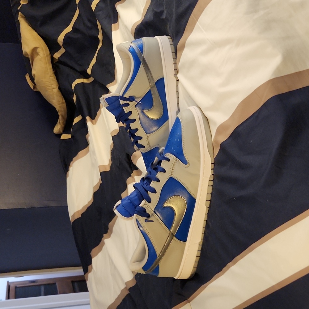 Custom nike dunk lows